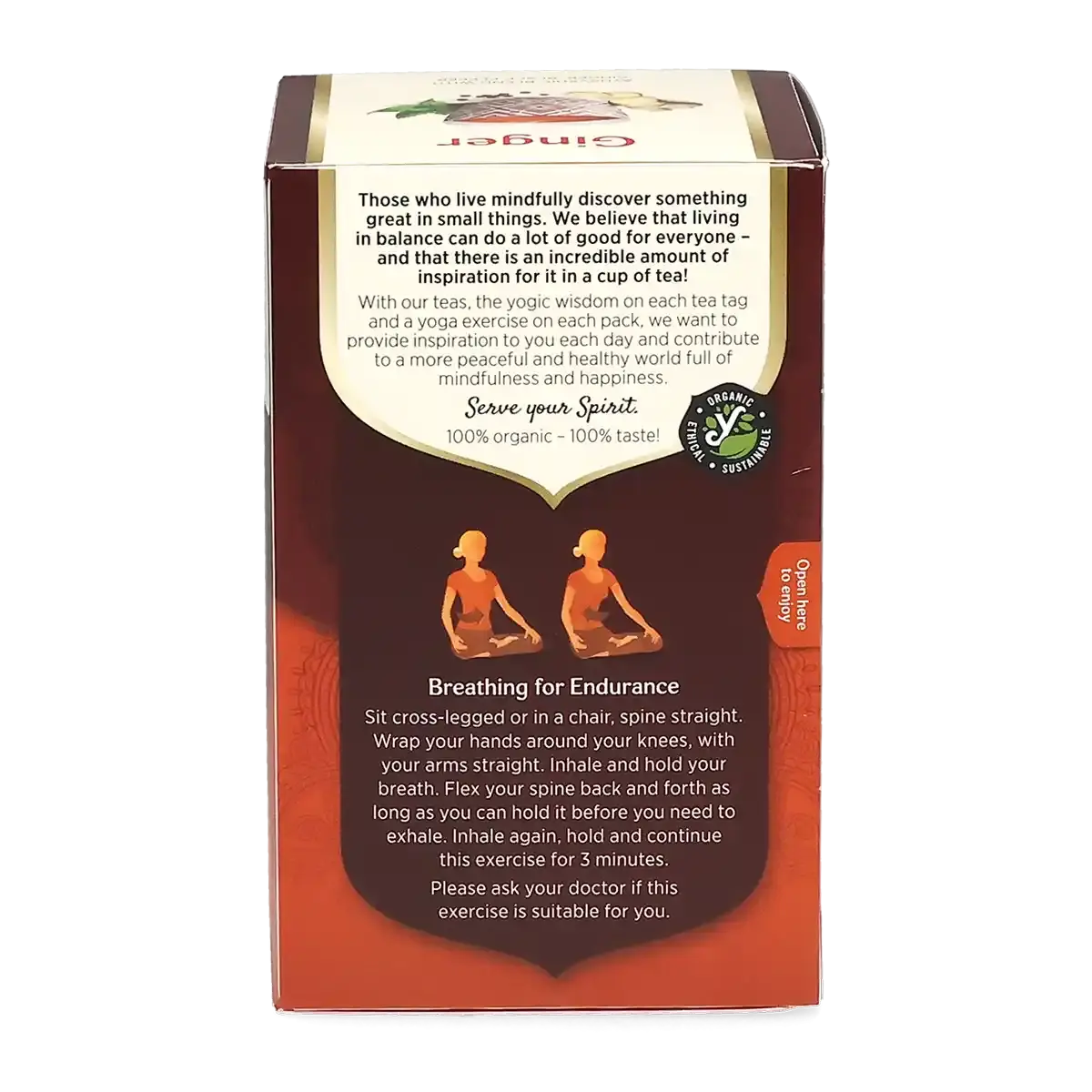 Yogi\u0020Tea\u0020Gengibre\u0020