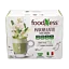 Matcha\u0020Latte\u0020com\u0020Ginseng\u0020